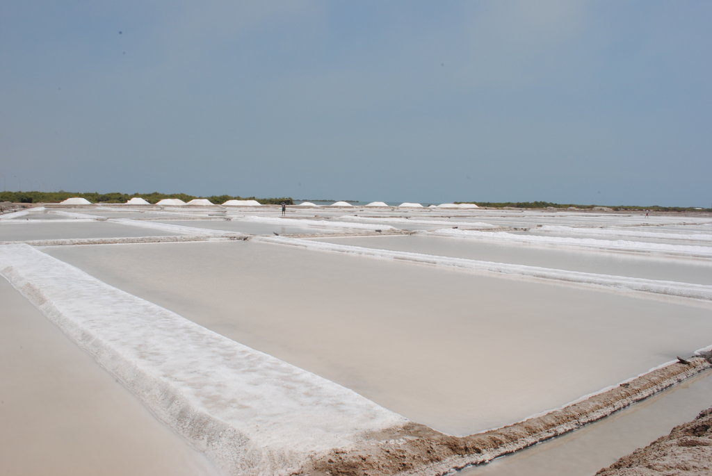 Wide view of crystallizer salt pans filled with brine near the coast