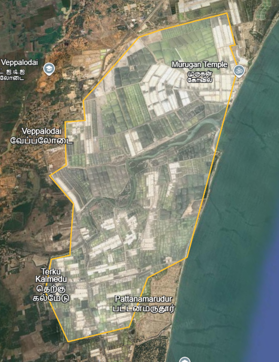 Satellite view of coastal salt pan fields near Veppalodai